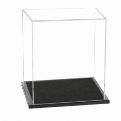 Vitrine cube - 25 CM